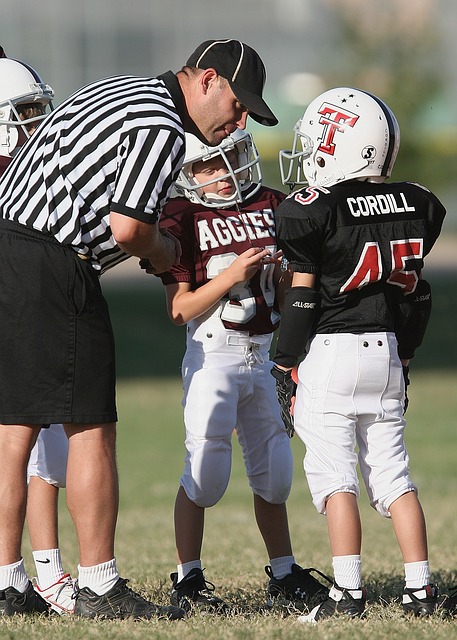 球迷们将通 球迷们将通