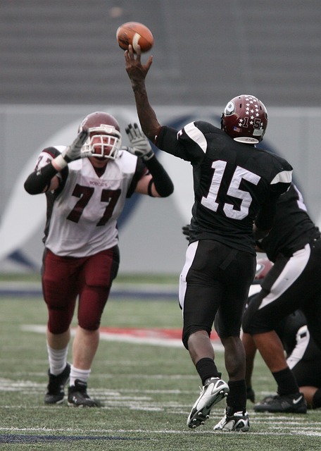 金州勇士队 金州勇士队