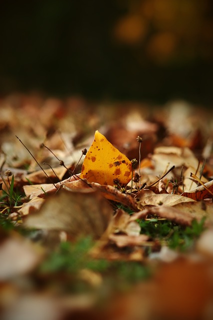 烈的赛事中 烈的赛事中