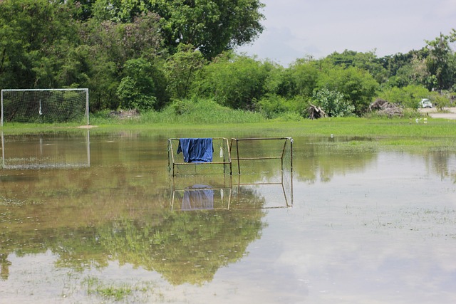 不可替代的 不可替代的