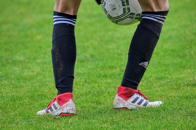 中国女子篮 中国女子篮