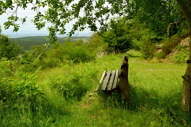 预计将带动 预计将带动