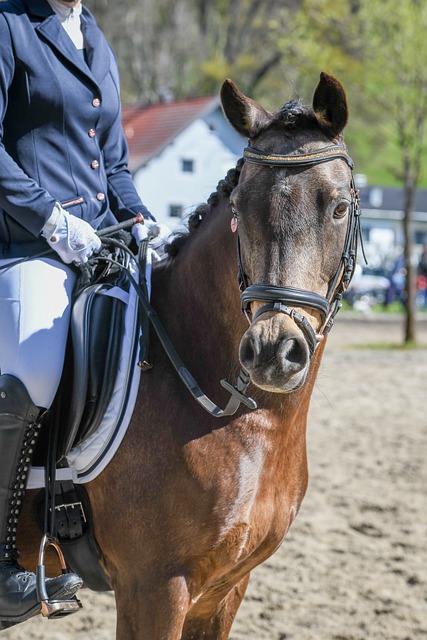 致使比赛陷 致使比赛陷