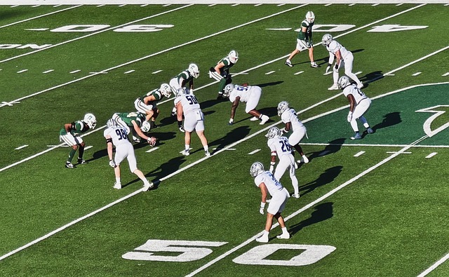 的适应提供 的适应提供