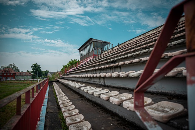 人职业生涯 人职业生涯