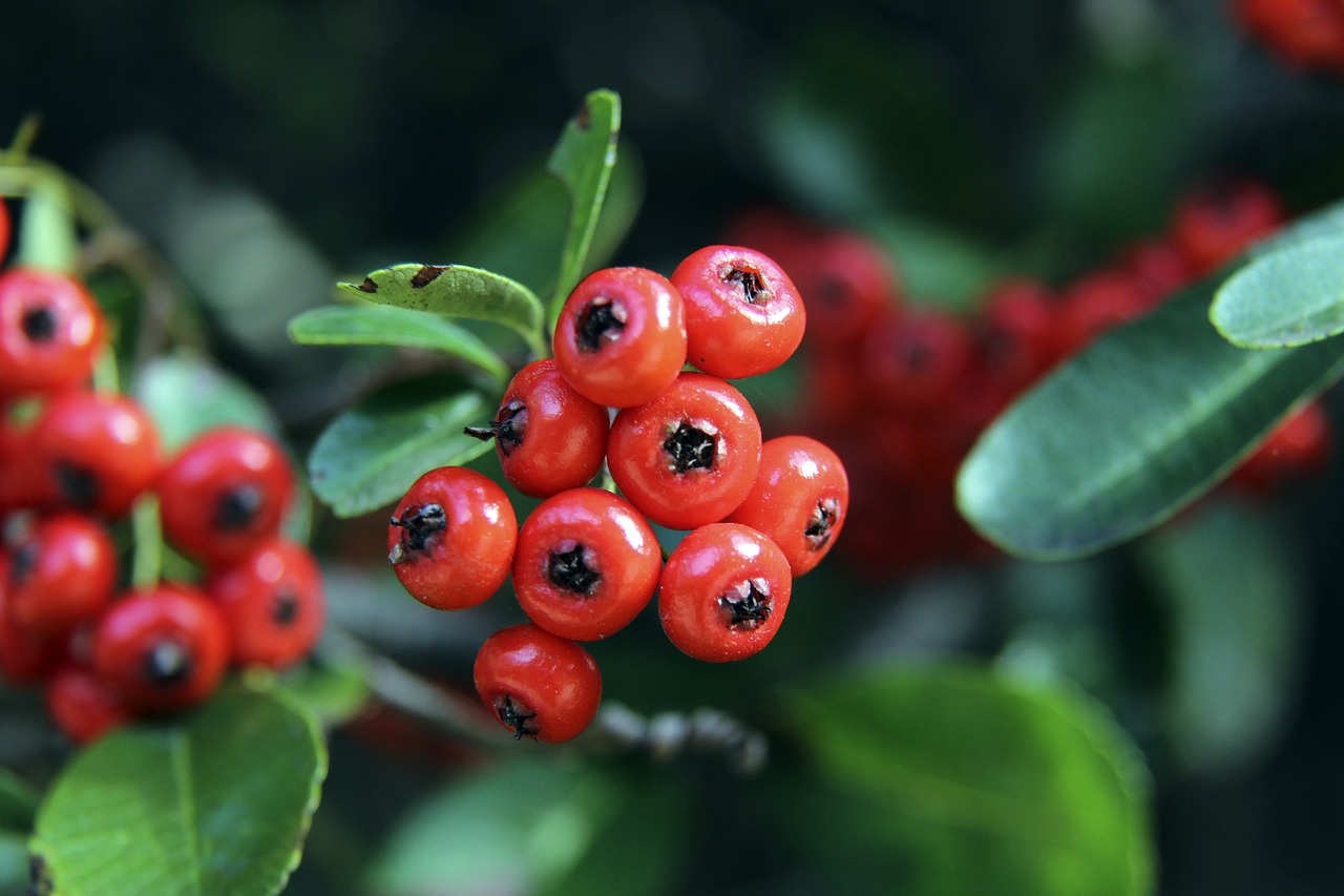 他们在观众 他们在观众