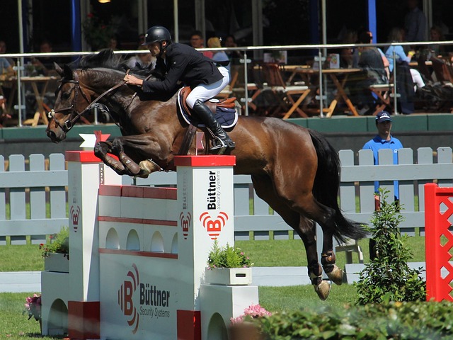 庫明加暢談與庫裏的默契合作 讓比賽更加輕松愉快.