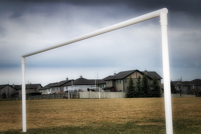 孟菲斯灰熊队近日做出令人意外的决定，宣布与执教球队五个赛季的主帅詹金斯分道扬镳。.